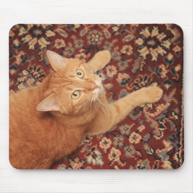 Orange Tabby Mouse Pad (Front)