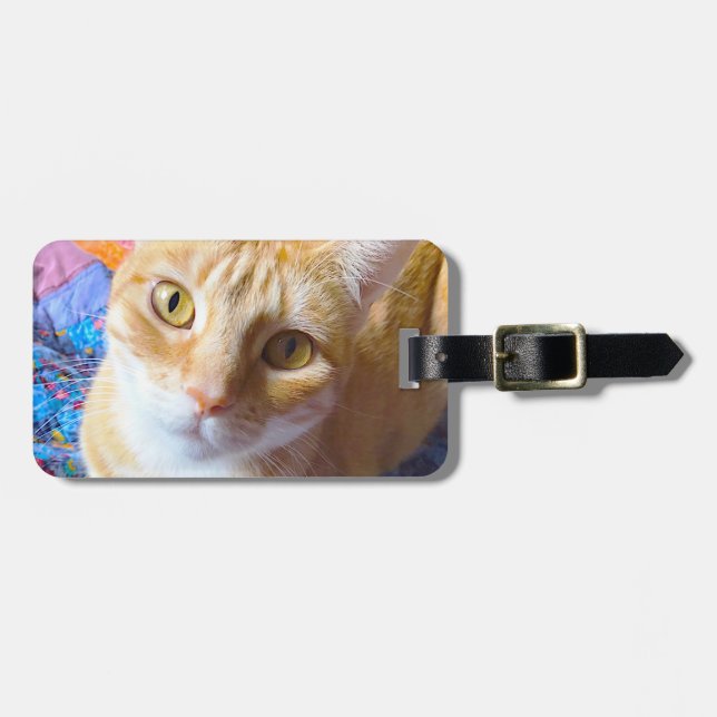 Orange tabby on quilt luggage tag (Front Horizontal)