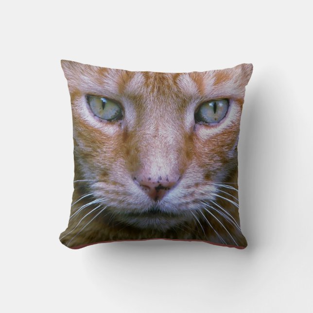 Orange Tabby Pillow (Front)