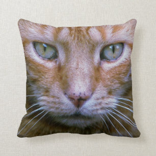 Orange Tabby Pillow
