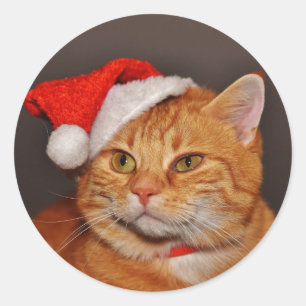 Orange Tabby Santa Cat Envelope Seals Stickers