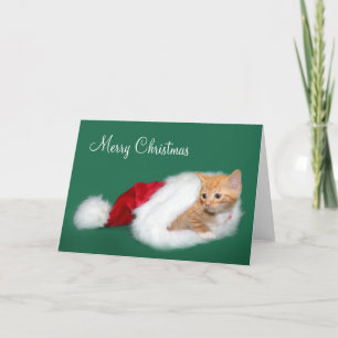 Orange tabby Santa hat Holiday Card