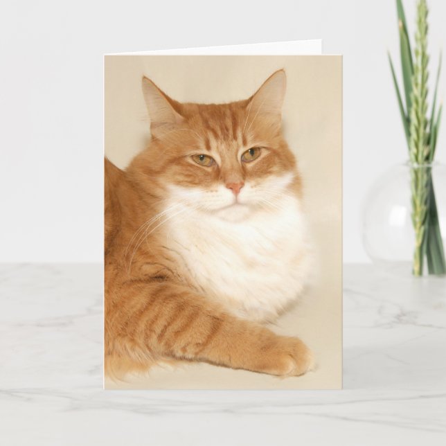 Orange tabby Santa Holiday Card (Front)