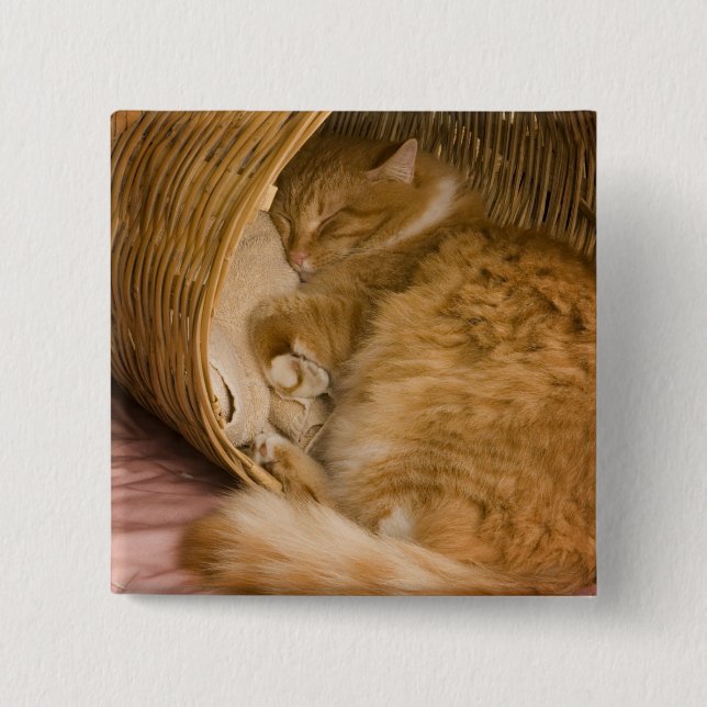 Orange tabby sleeping in hamper 15 cm square badge (Front)