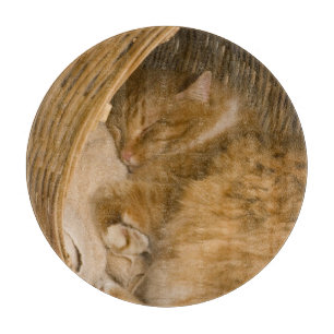 Orange tabby sleeping in hamper cutting board