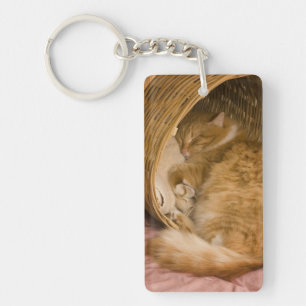 Orange tabby sleeping in hamper key ring