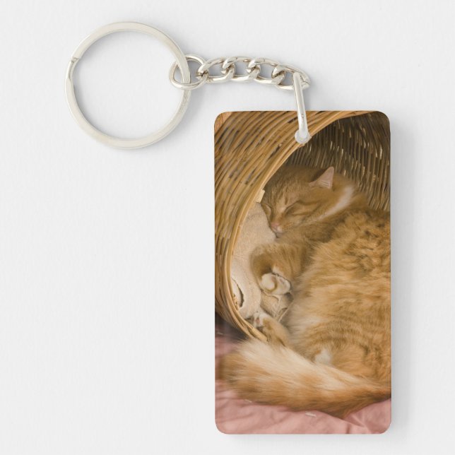 Orange tabby sleeping in hamper key ring (Front)