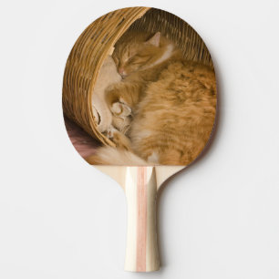 Orange tabby sleeping in hamper ping pong paddle