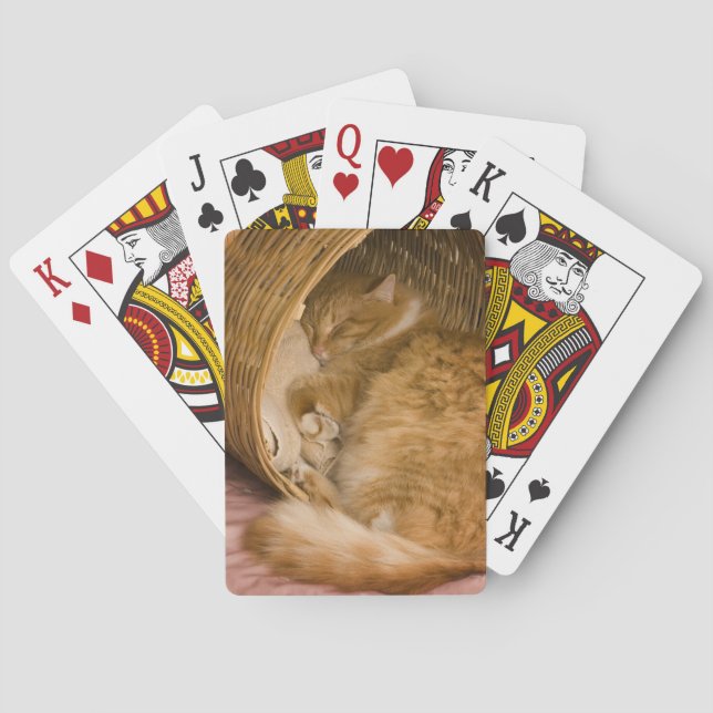 Orange tabby sleeping in hamper playing cards (Back)