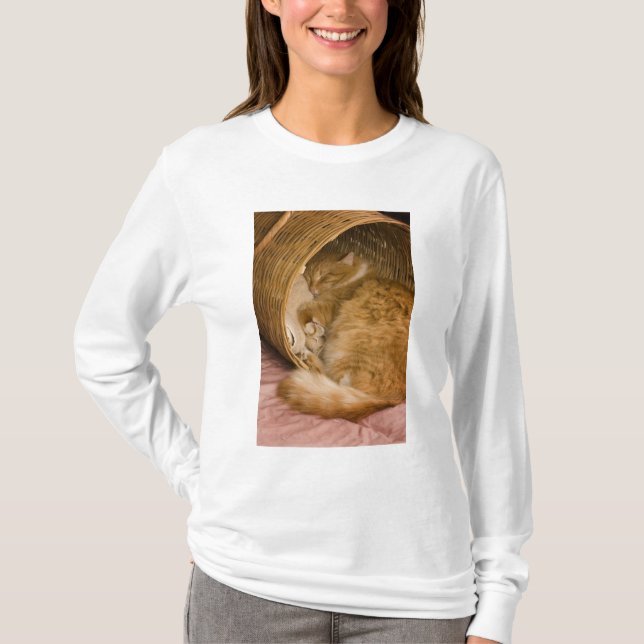 Orange tabby sleeping in hamper T-Shirt (Front)