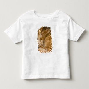 Orange tabby sleeping in hamper toddler T-Shirt