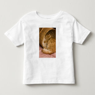 Orange tabby sleeping in hamper toddler T-Shirt