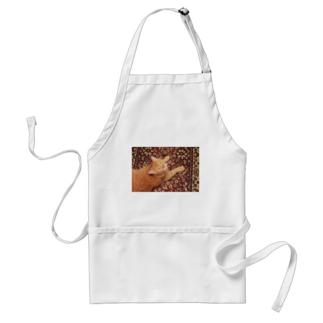 Orange Tabby Standard Apron (Front)