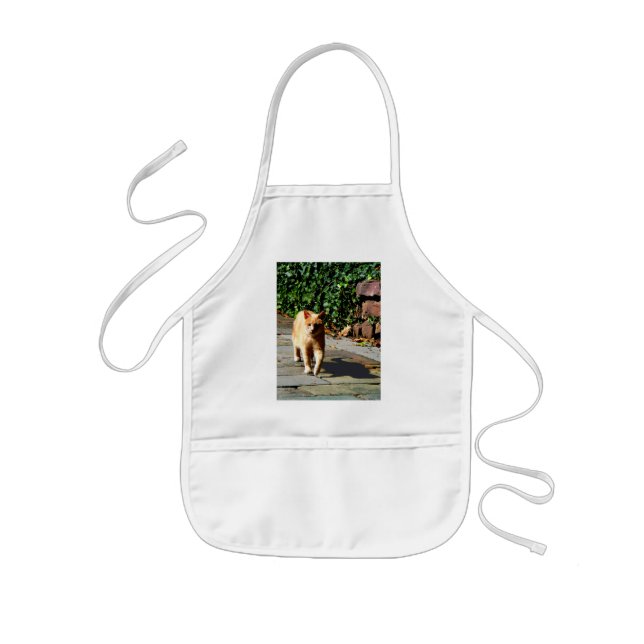Orange Tabby Taking a Walk Kids Apron (Front)