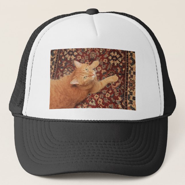 Orange Tabby Trucker Hat (Front)