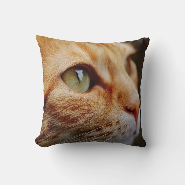 Orange Tabby with Green Eyes Custom Cushion (Front)