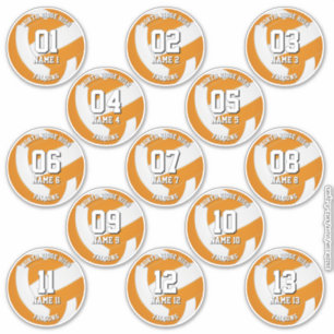 orange team colors volleyball stickers 13 athletes