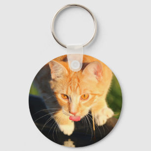 Orange thirsty cat key ring