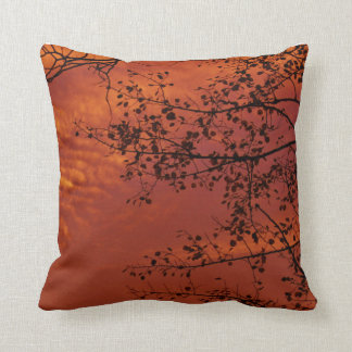 orange throw pillow with Asian flavour
