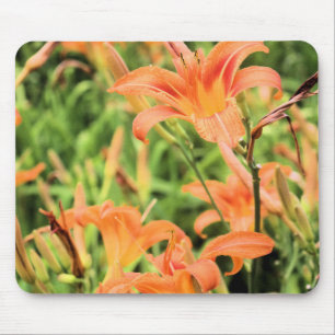 Orange Tiger Lilies Mousepad