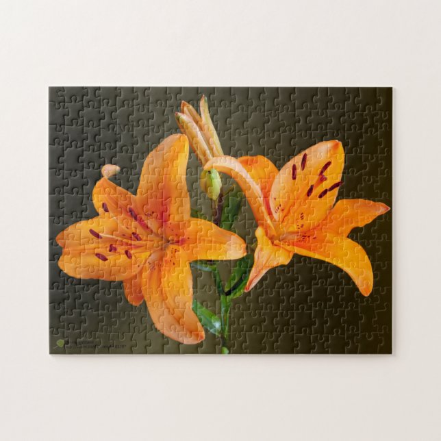 Orange Tiger Lillies  Buds Close-Up Photography Jigsaw Puzzle (Horizontal)