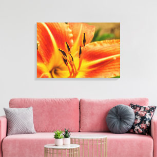 Orange Tiger Lily Canvas Print
