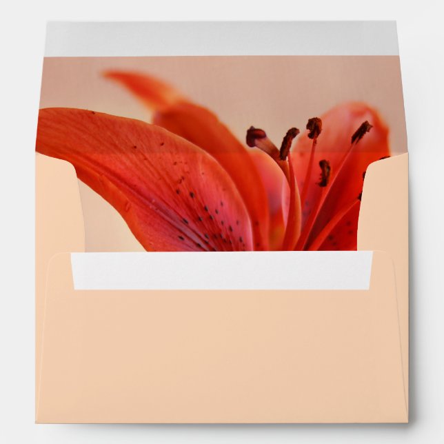 Orange Tiger Lily Close-Up Photograph Inside Envelopes (Back (Bottom))