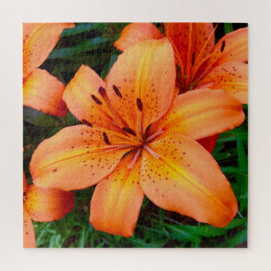 Orange Tiger Lily Garden Botanical Jigsaw Puzzle