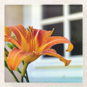 Orange Tiger Lily Glass Coaster