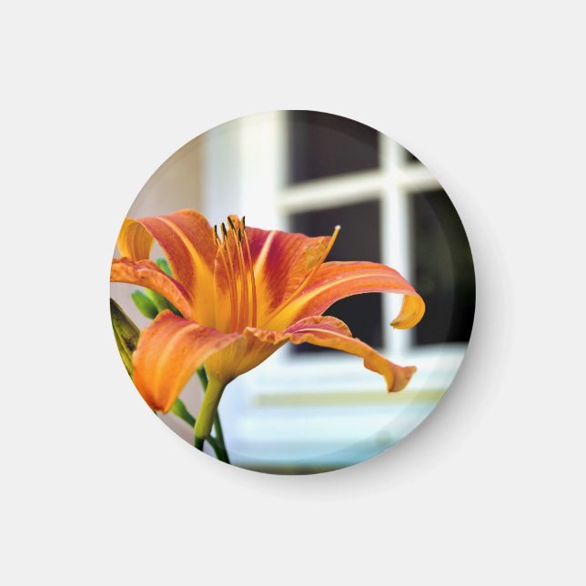 Orange Tiger Lily Magnet (Front)