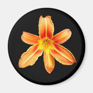 Orange Tiger Lily Magnet