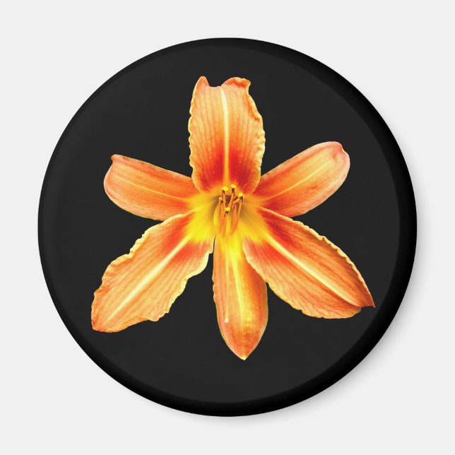 Orange Tiger Lily Magnet (Front)