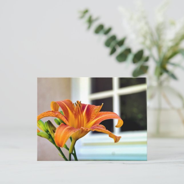 Orange Tiger Lily Postcard (Standing Front)