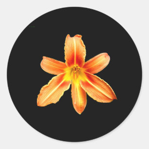 Orange Tiger Lily Stickers