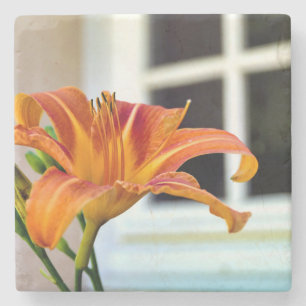 Orange Tiger Lily Stone Coaster