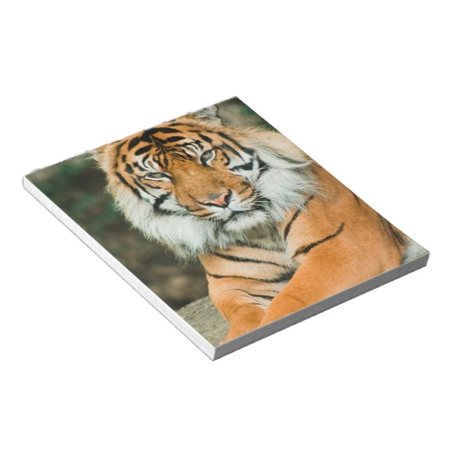 Orange Tiger Notepad (Angled)