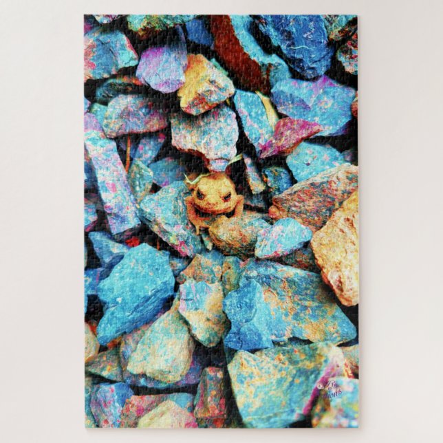 Orange Toad Surrounded by Colourful Rocks Jigsaw Puzzle (Vertical)