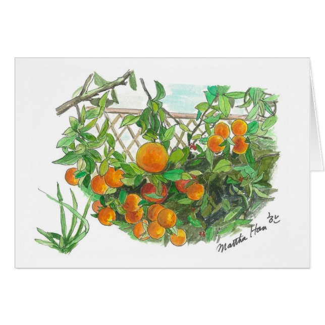 Orange tree (Front Horizontal)