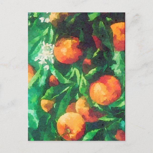Orange Tree Branch Watercolor Postcard (Front)