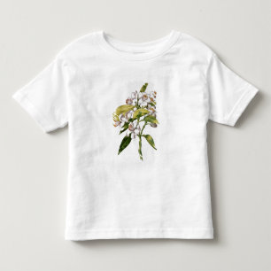 Orange tree flower, from 'La Guirlande de Julie' Toddler T-Shirt