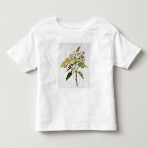 Orange tree flower, from 'La Guirlande de Julie' Toddler T-Shirt