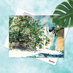 Orange Tree Gate Nassau Winslow Homer Postcard