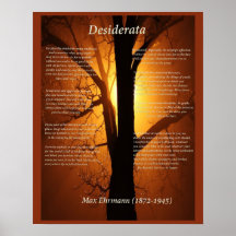 Orange Tree