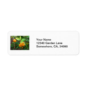 Orange Tree Return Address Label