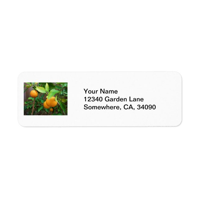 Orange Tree Return Address Label (Front)