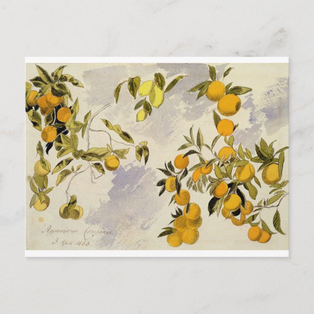 Orange Trees, 1863 (w/c, pen and ink over graphite Postcard (Front)