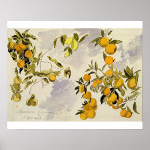 Orange Trees, 1863 (w/c, pen and ink over graphite Poster