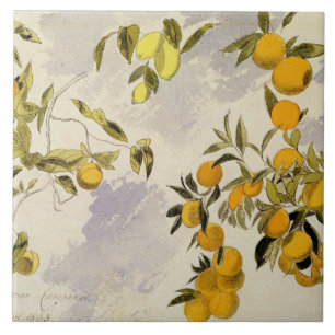 Orange Trees, 1863 (w/c, pen and ink over graphite Tile
