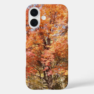 Orange Trees iPhone 16 Case