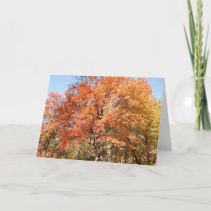 Orange Trees Holiday Card